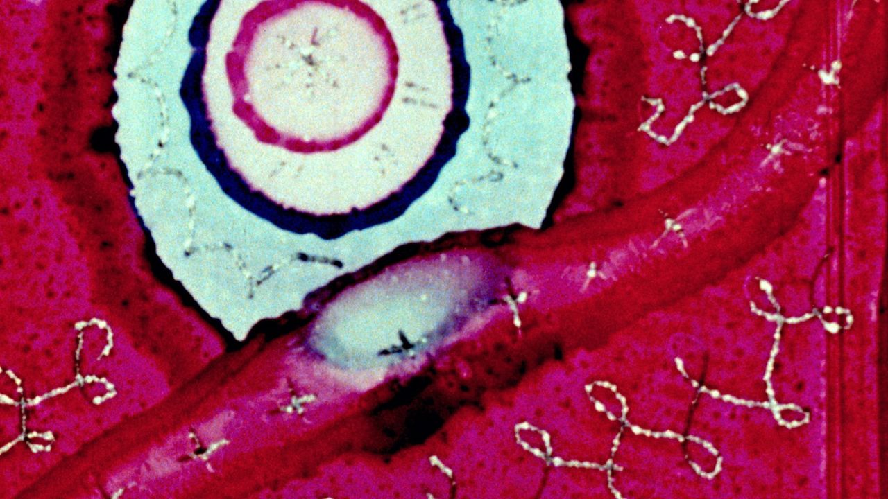 abstract circular red, pink and white spiral